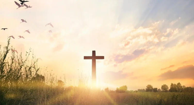 Cross-Border Dynamics: Impact, Benefits, and Global Value