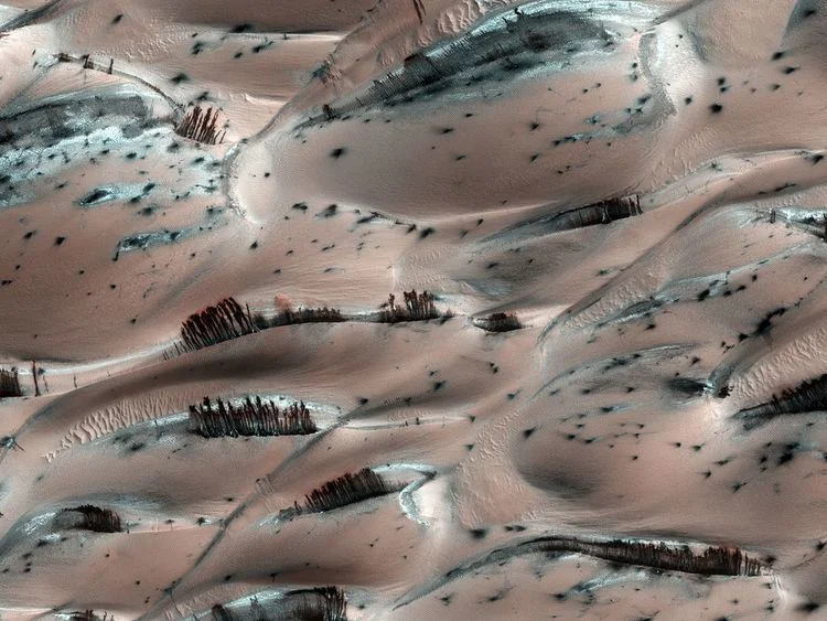 Mars Rock Discovery: What We Know About Its Origins and Composition